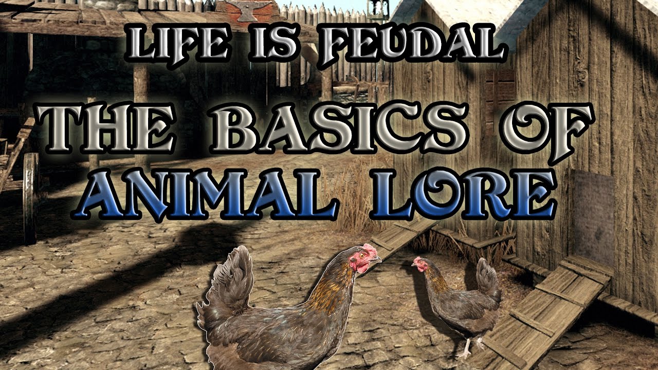 life is feudal barn